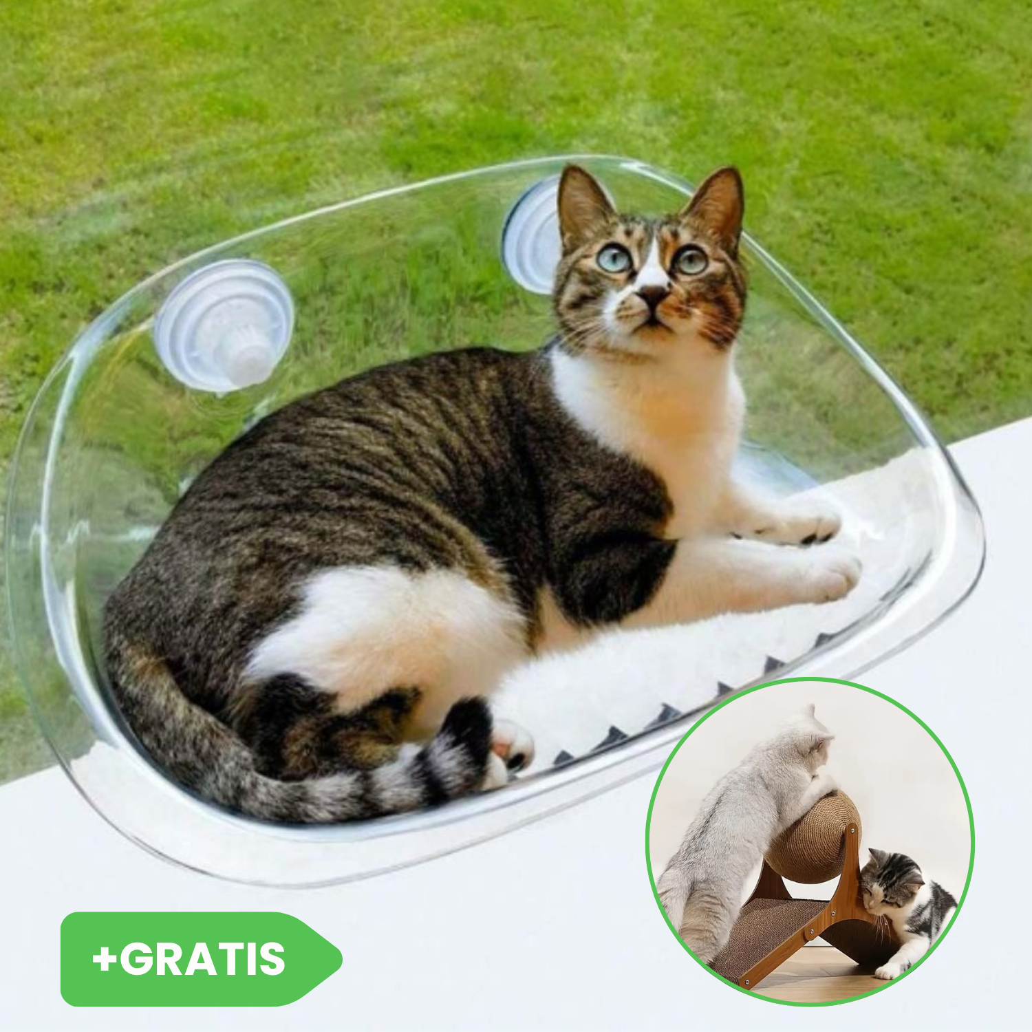 Okenná mačacia posteľ CATNEST + Rotujúca mačacia loptička JISADER GRATIS